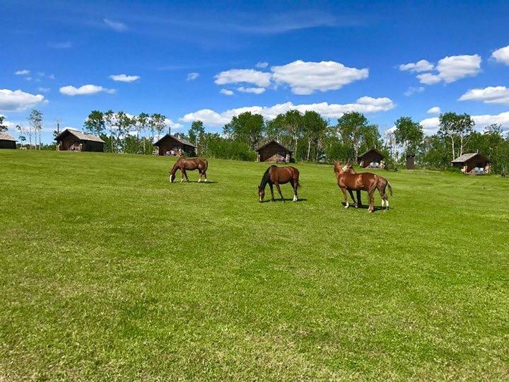 Flying U Ranch Seventy Mile House Bagian luar foto